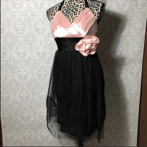 Studio Y Pink and Black Halter Dress